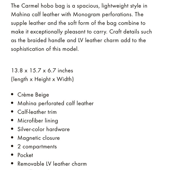 Louis. Vuitton Carmel Hand Bag - Picture 2 of 2